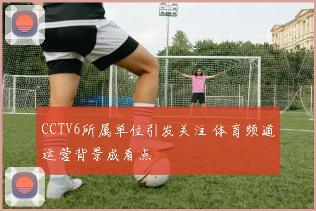 CCTV6所属单位引发关注 体育频道运营背景成看点