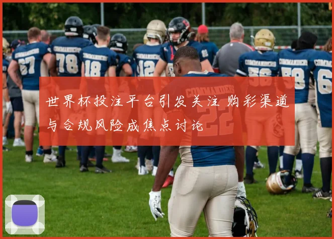 世界杯投注平台引发关注 购彩渠道与合规风险成焦点讨论